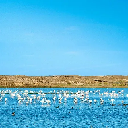 Herdade Dos Salgados * Guia (Faro)